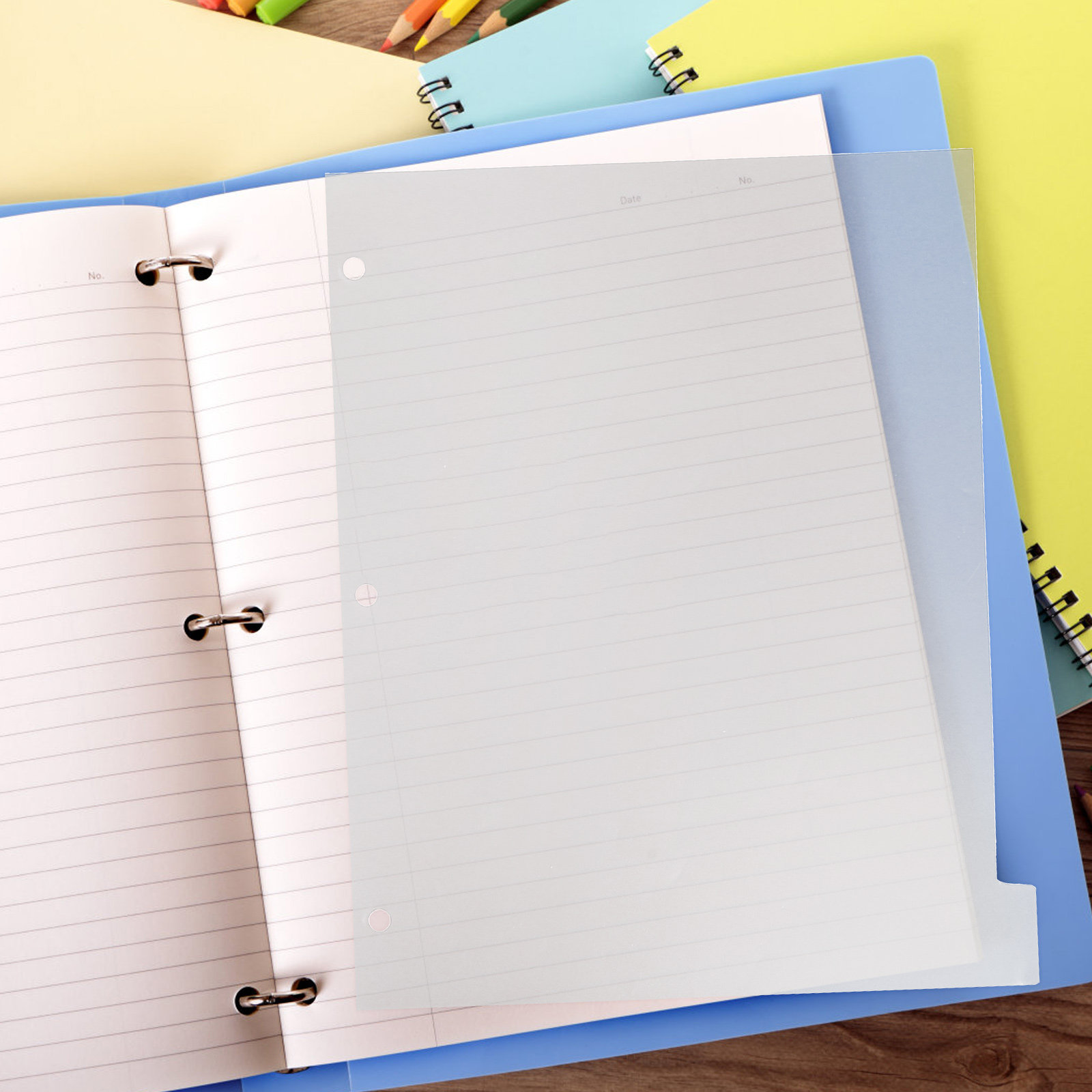 Index Tab Divider - 8 Fogli Divisori Colorati per Raccoglitori,