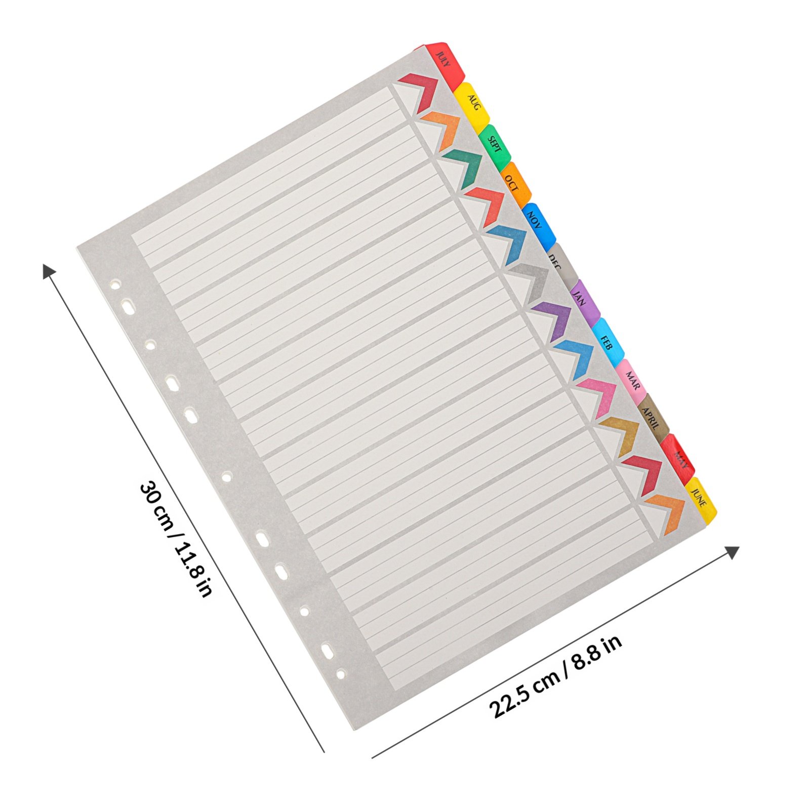 12 Divisori per Raccoglitori c - Index Tab Divider recensione e prezzo