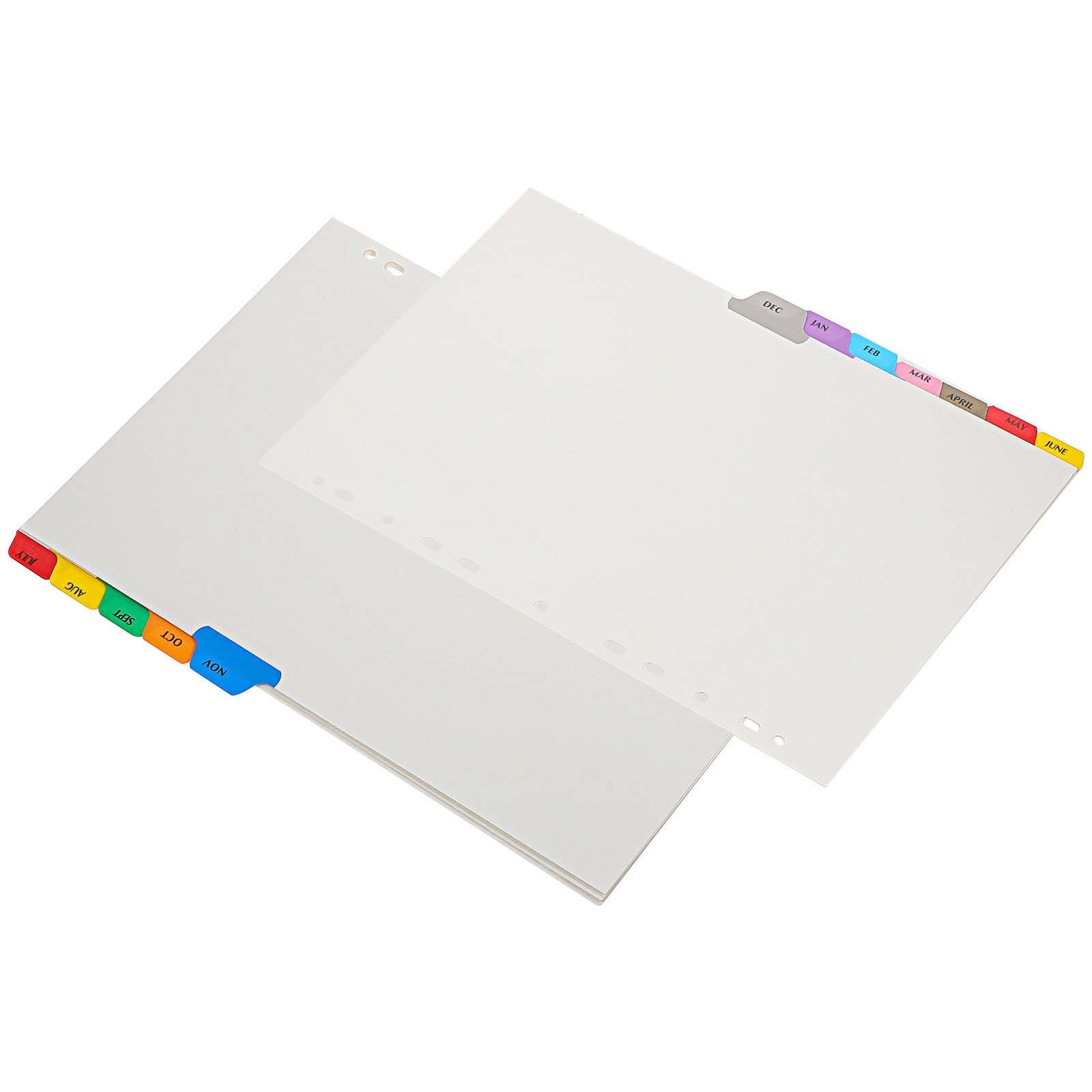 12 Fogli Divisori per Raccogli - Index Tab Divider recensione e prezzo